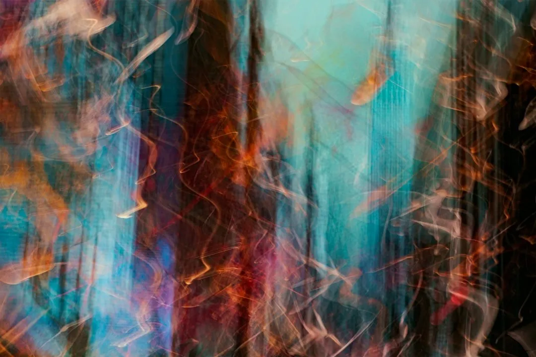 Photo Artistic collaboration