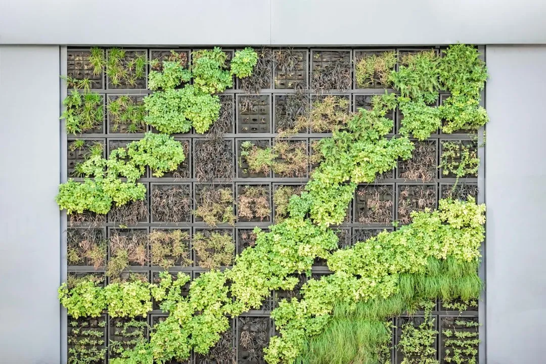 Photo Vertical garden