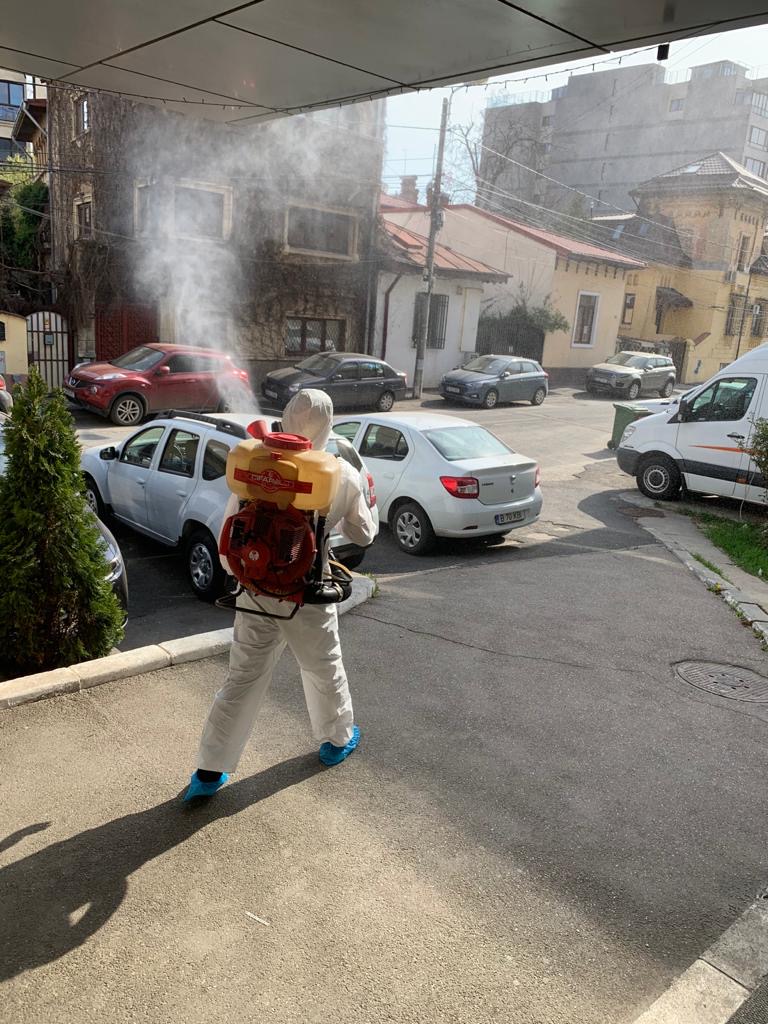 Servicii DDD pentru plosnite – de ce este greseala sa tratezi doar dormitorul