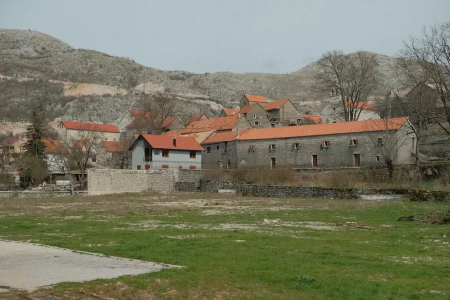 forma juridică