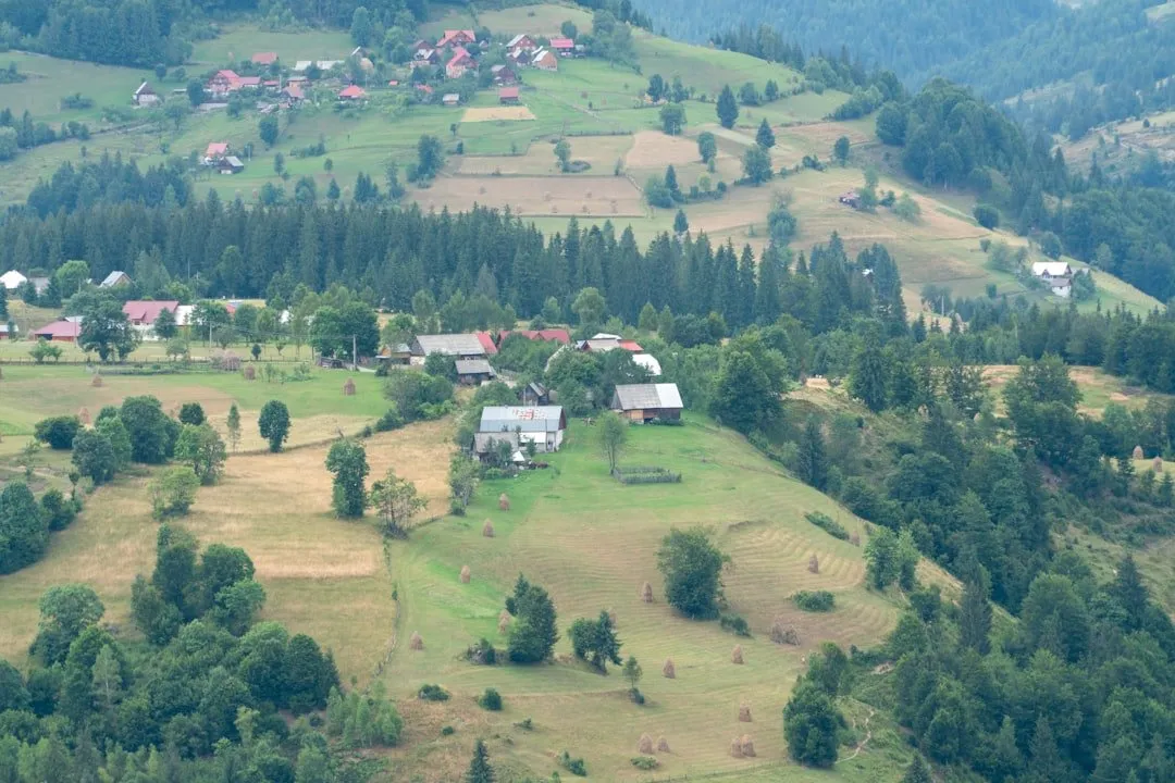 Photo forma juridică