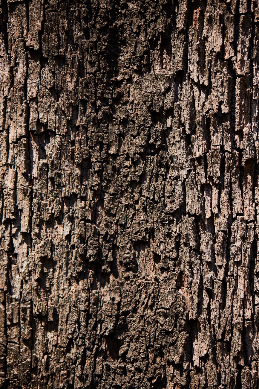 Materiale naturale în amenajarea interioară: ghid practic