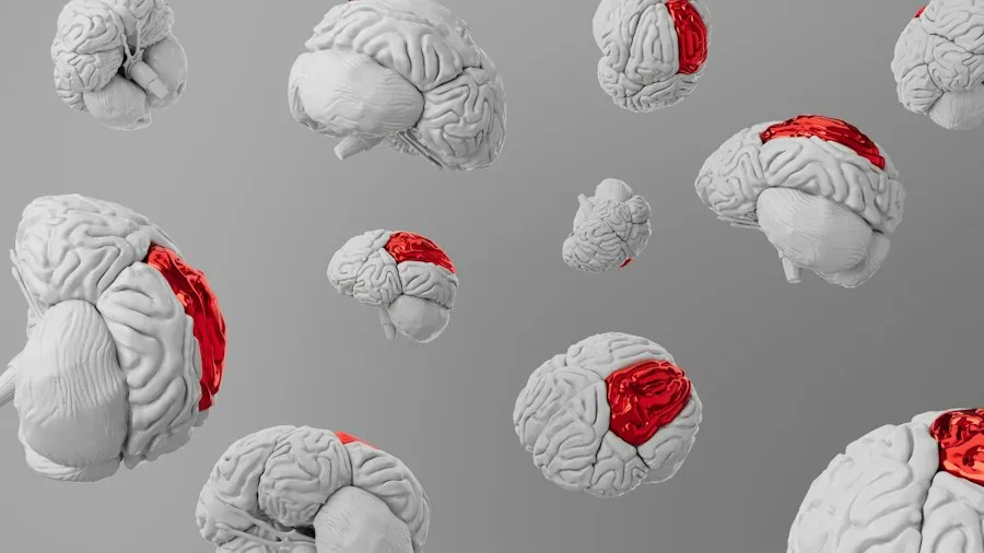 memory concepts infographic